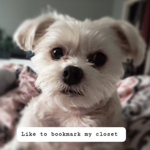 Like to bookmark my closet 💗